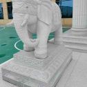 三亚 白麻花岗岩动物异形石雕-大象