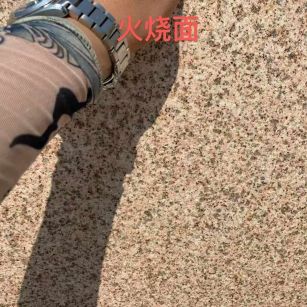 三亚黄金麻火烧面