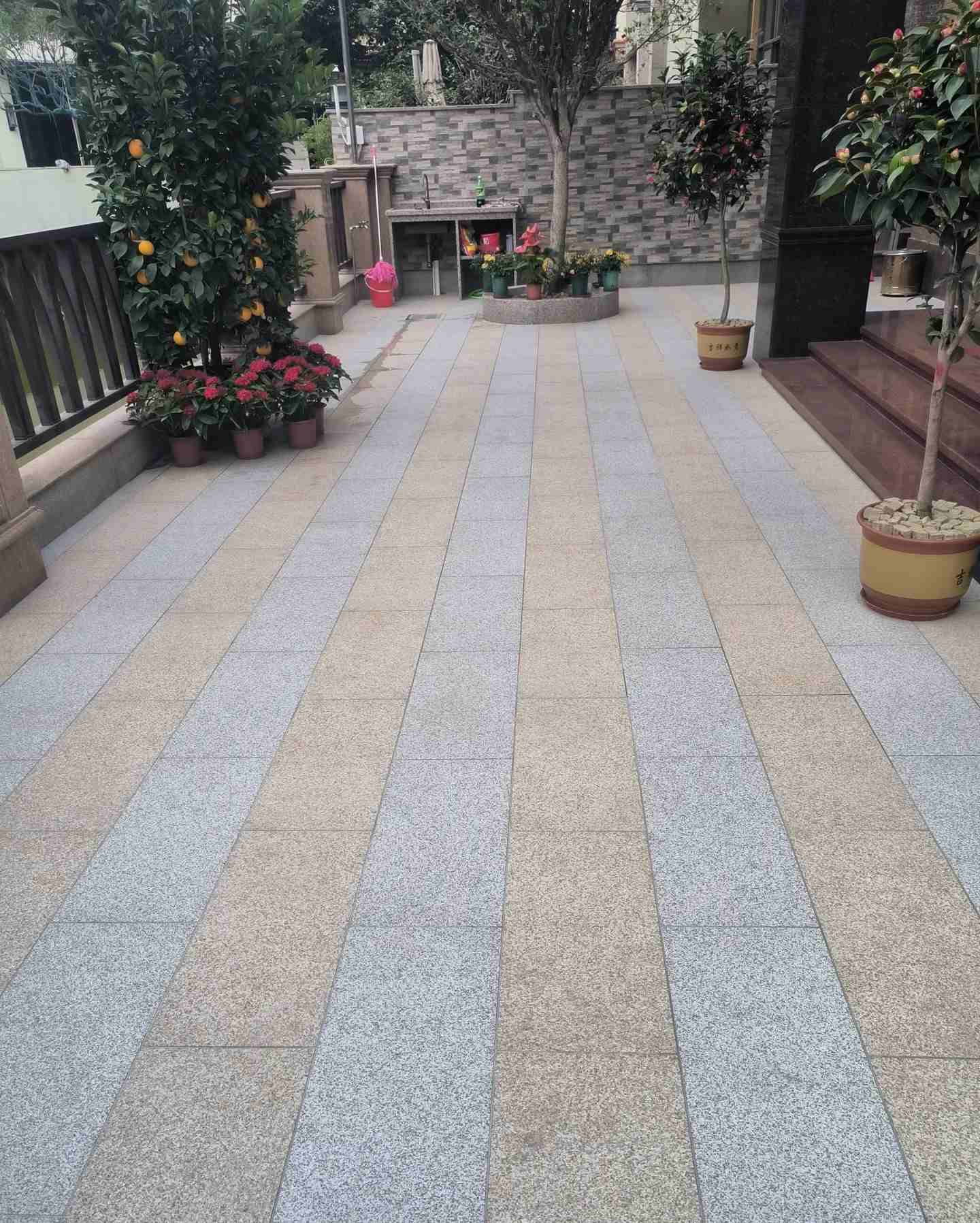 三亚 黄金麻白麻荔枝面庭院铺装展示